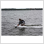 JET SURF