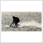 JET SURF
