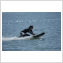 JET SURF