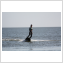 JET SURF