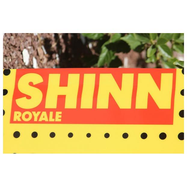 Кайтборд SHINN "KING GEE" - Аритикул King Gee 146х46 - Фото 2